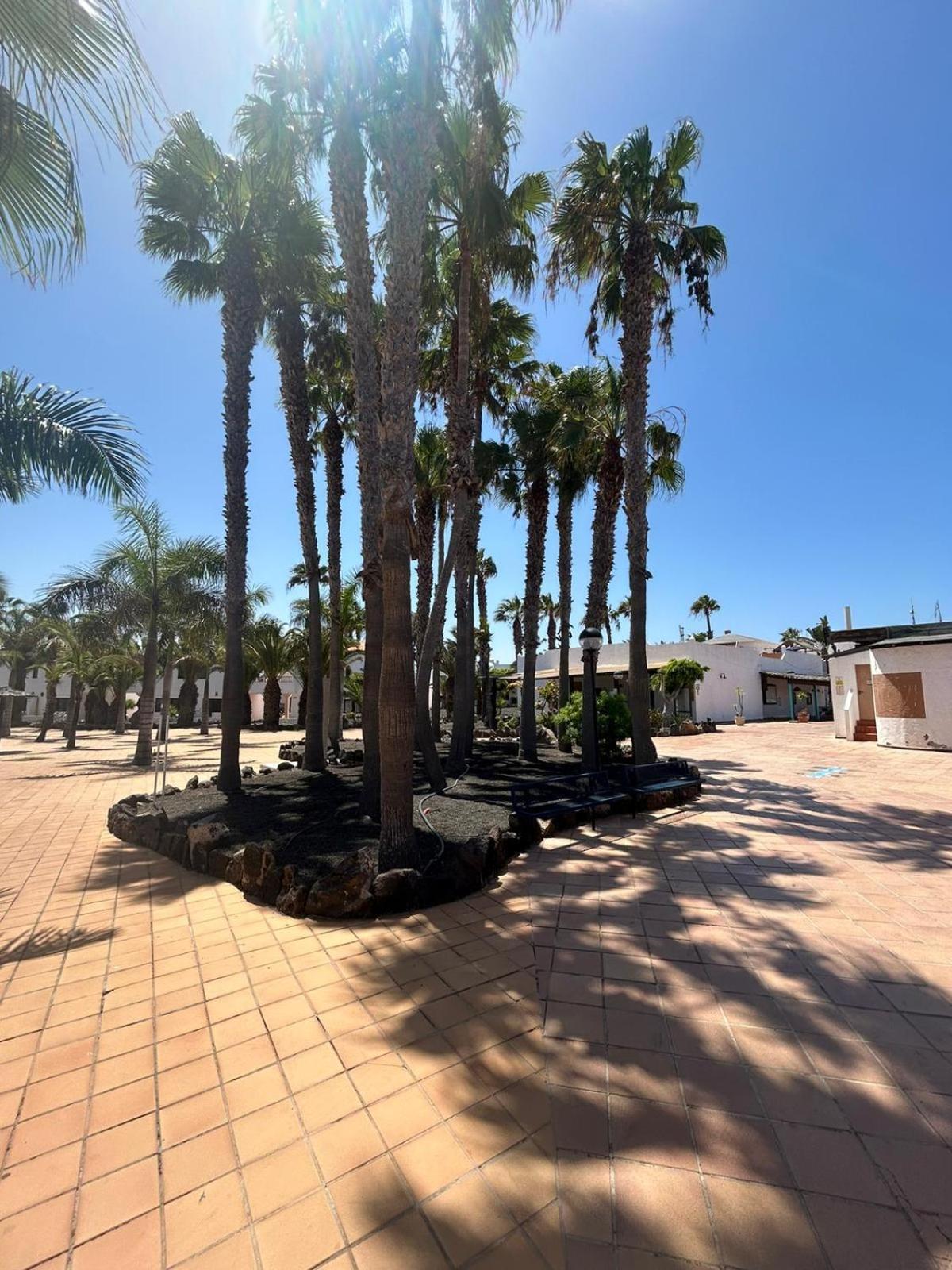 Apartamentos Gala Corralejo Exterior foto